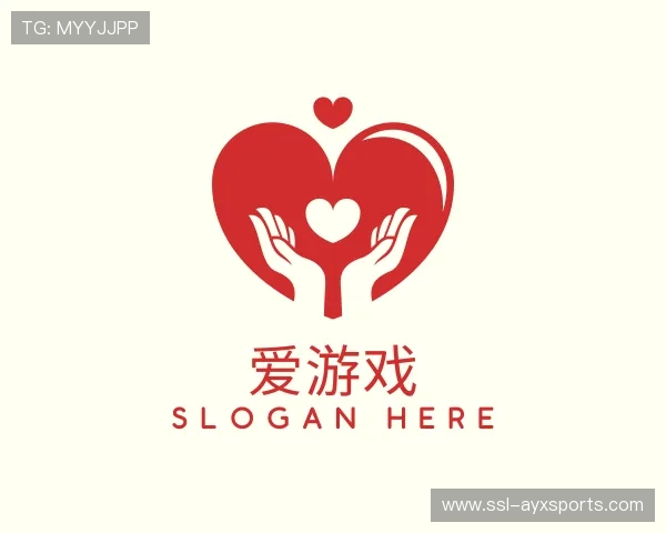 关于爱游戏公司